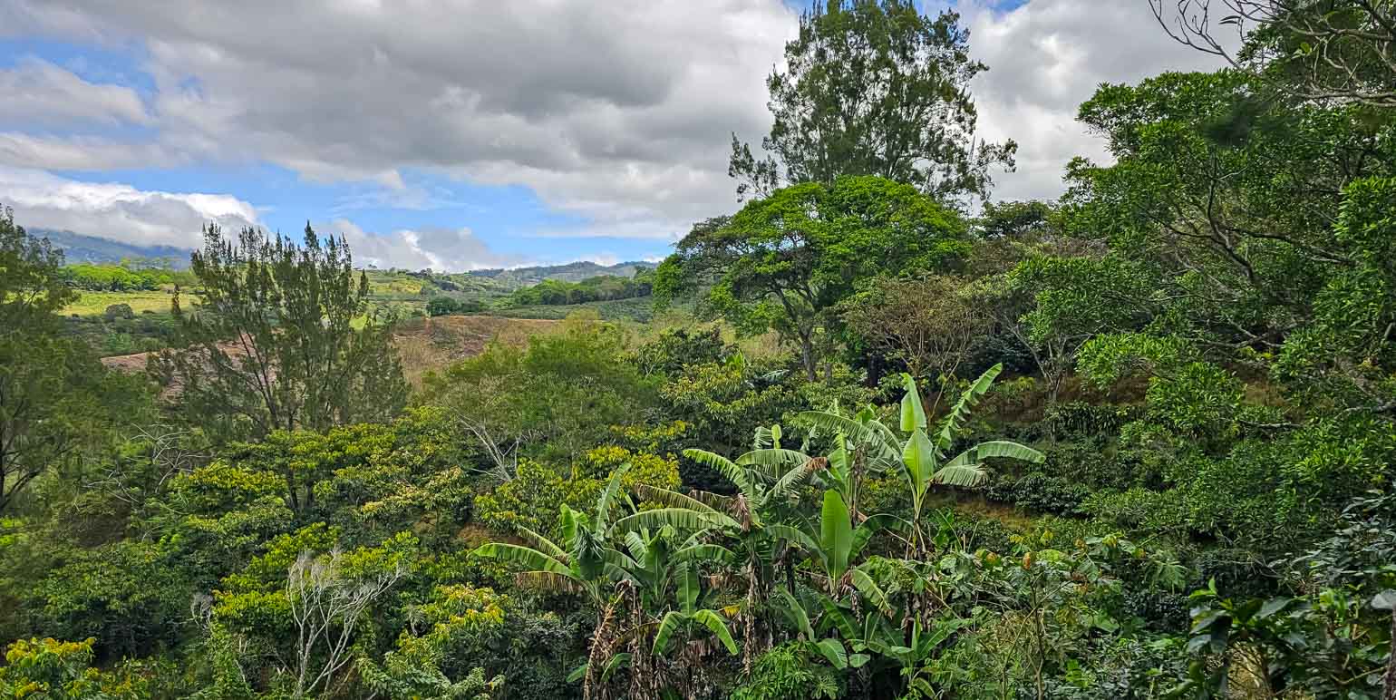 Propiedad en Carrizal