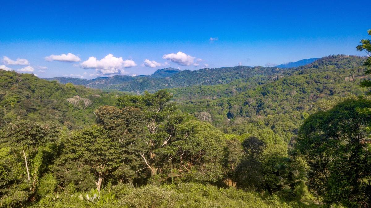 7 ACRES – ¡Vistas a la montaña! Amplia zona de construcción!