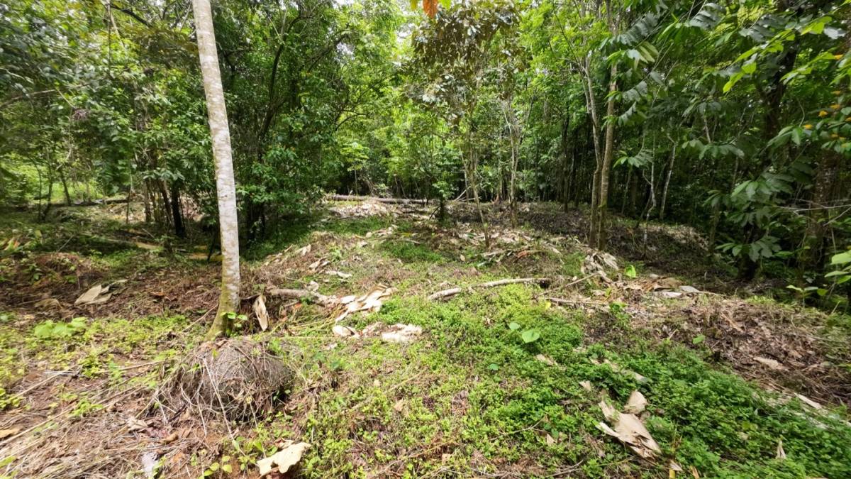 Property at Ojochal
