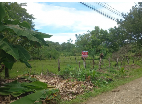 VENTA DE LOTE MIXTO SEGREGABLE, PUNTARENAS, OSA, BAHÍA BALLENA