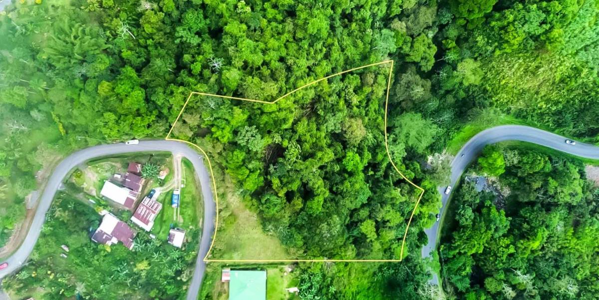 Terreno para Retiro o Inversión con Bosque y Vistas al Volcán, Turrialba