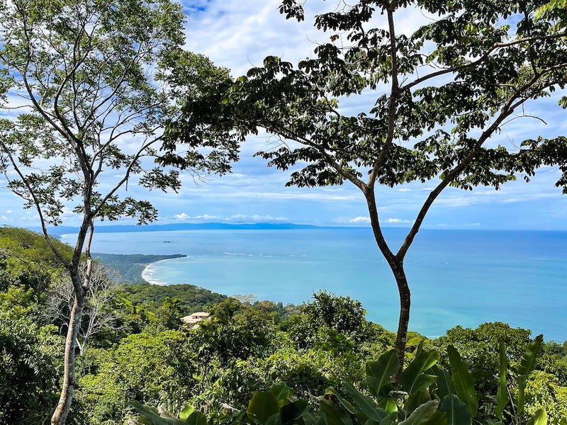 Terreno en Bahía Ballena