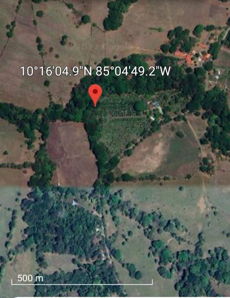 Finca en Las Juntas
