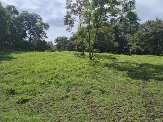Property at Guanacaste