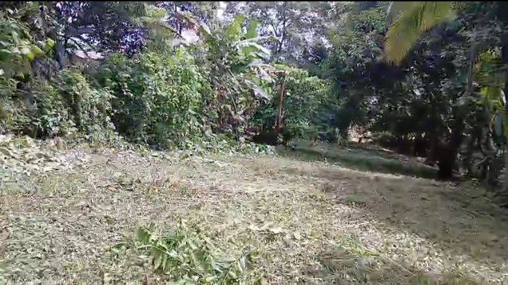 Terreno en Coyolar
