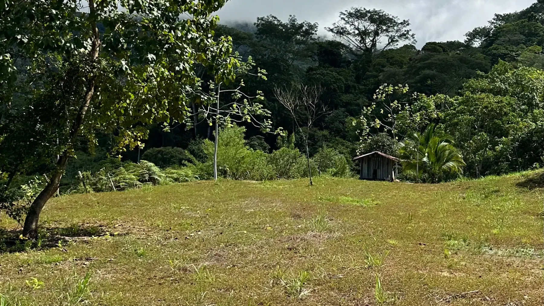 Terreno en Bahía Ballena