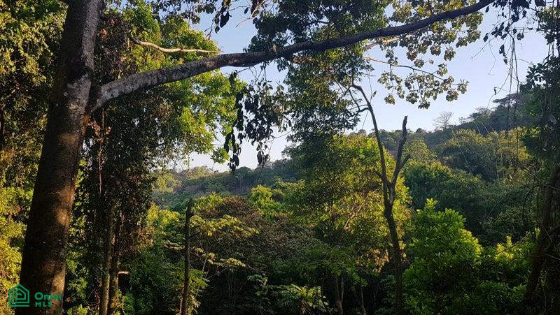 Land at Quepos
