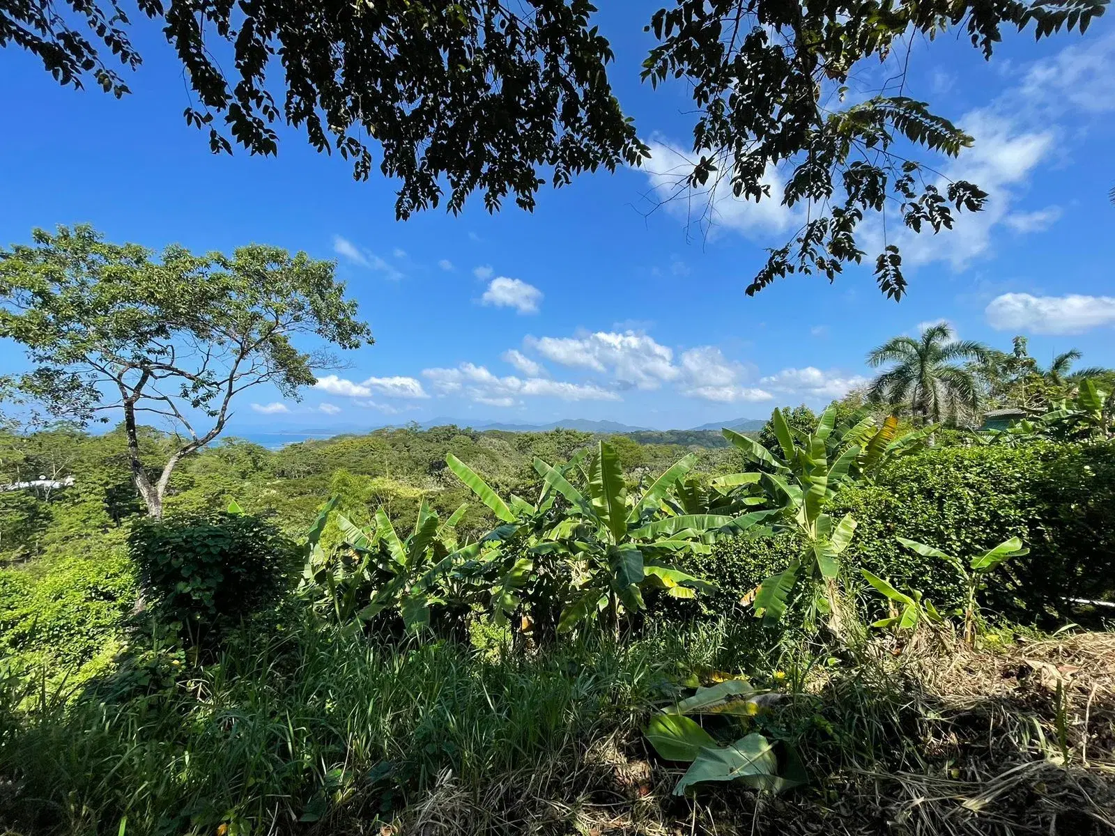 Land at Cóbano