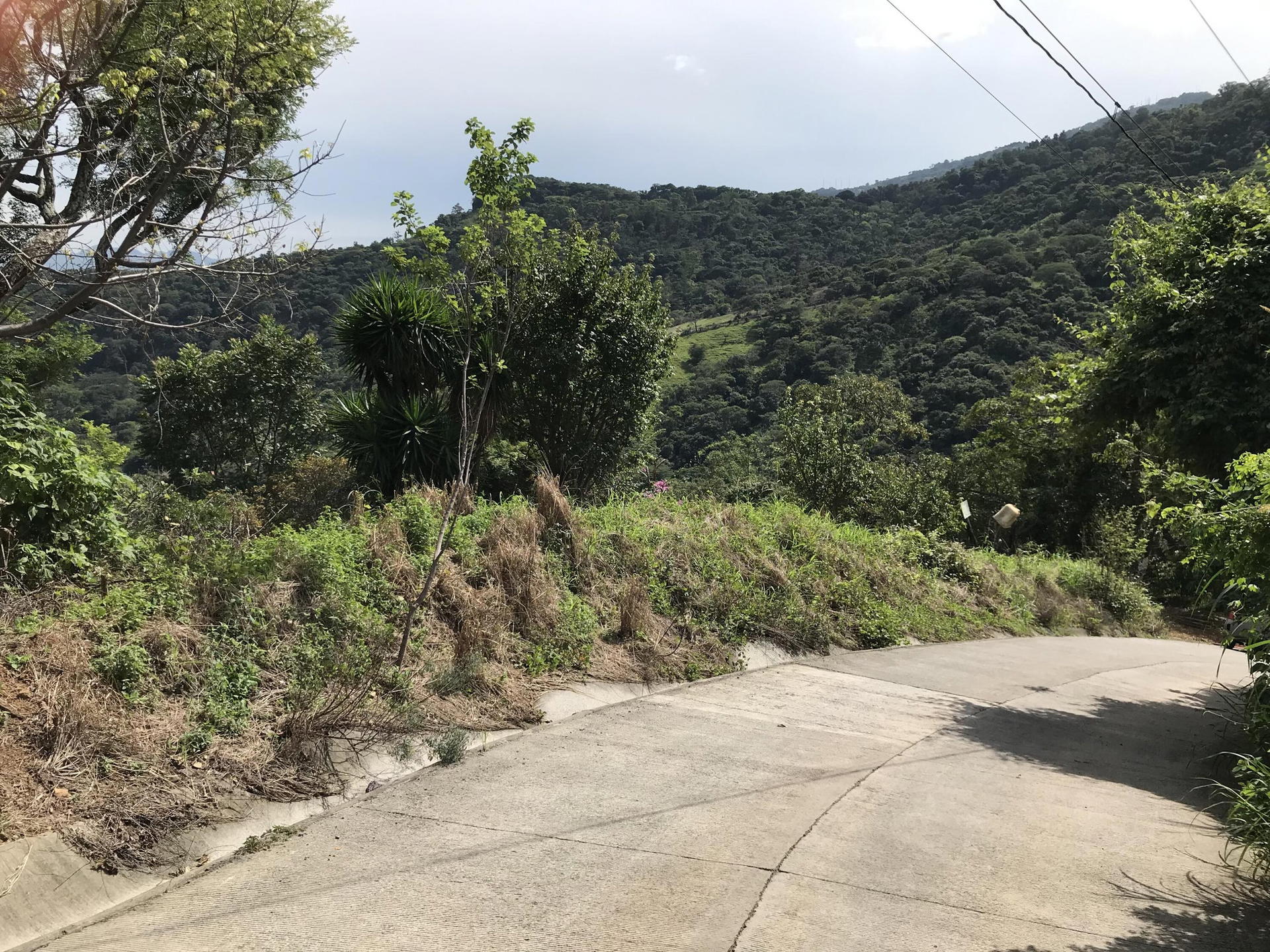 Property at Piedades