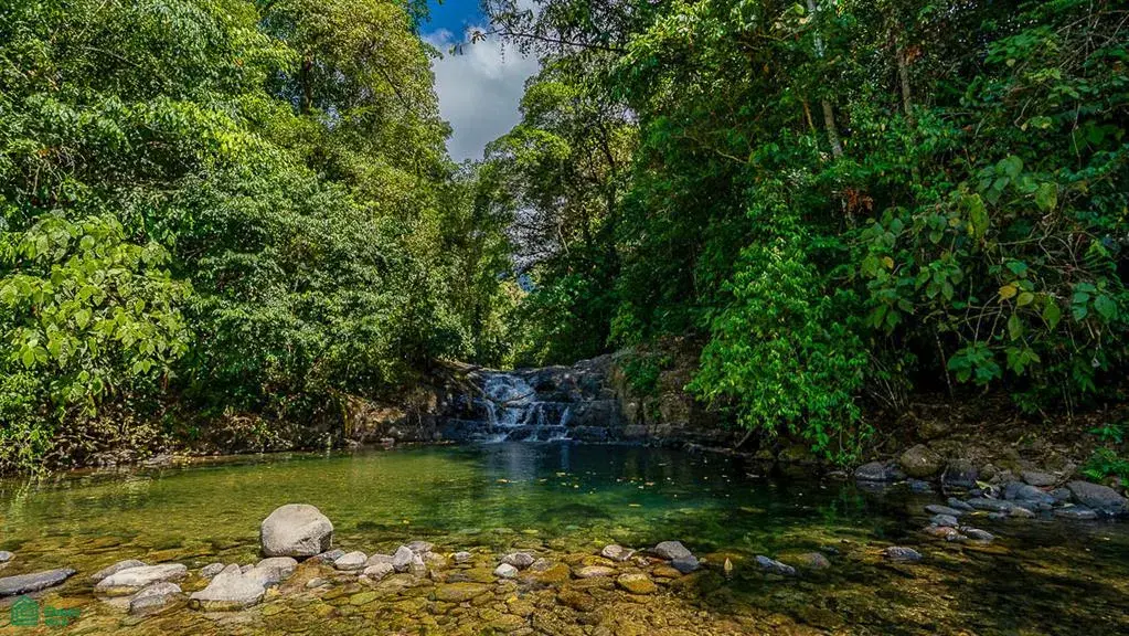 Terreno en Bahía Ballena