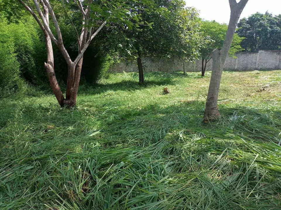 Propiedad en Uruca