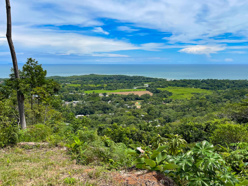Land at Bahía Ballena