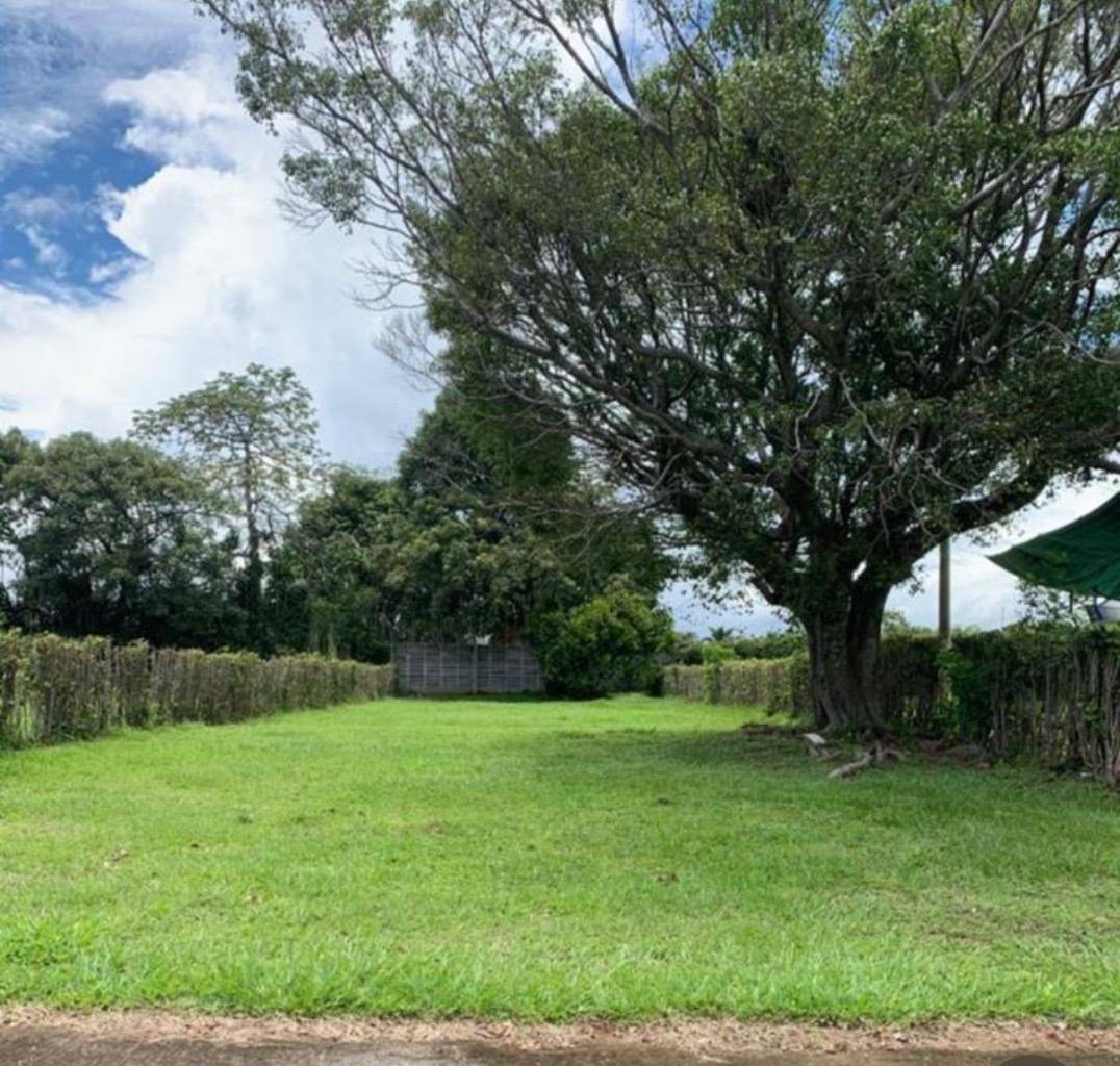 Property at La Garita