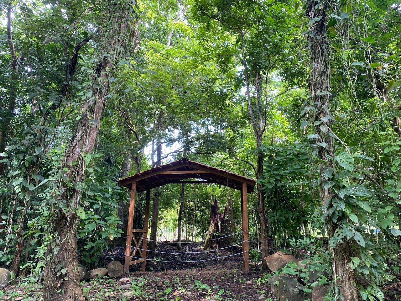 Property at Guacimal