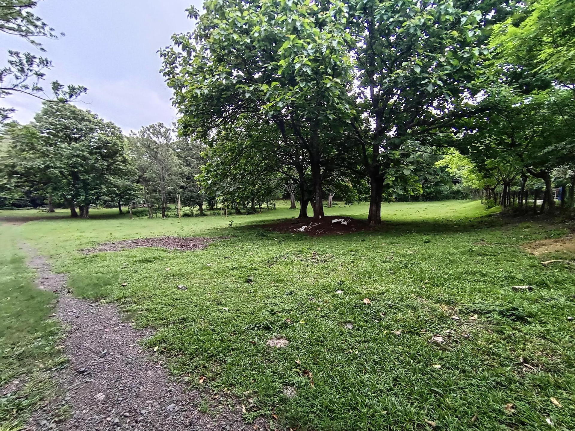 Property at Guácima