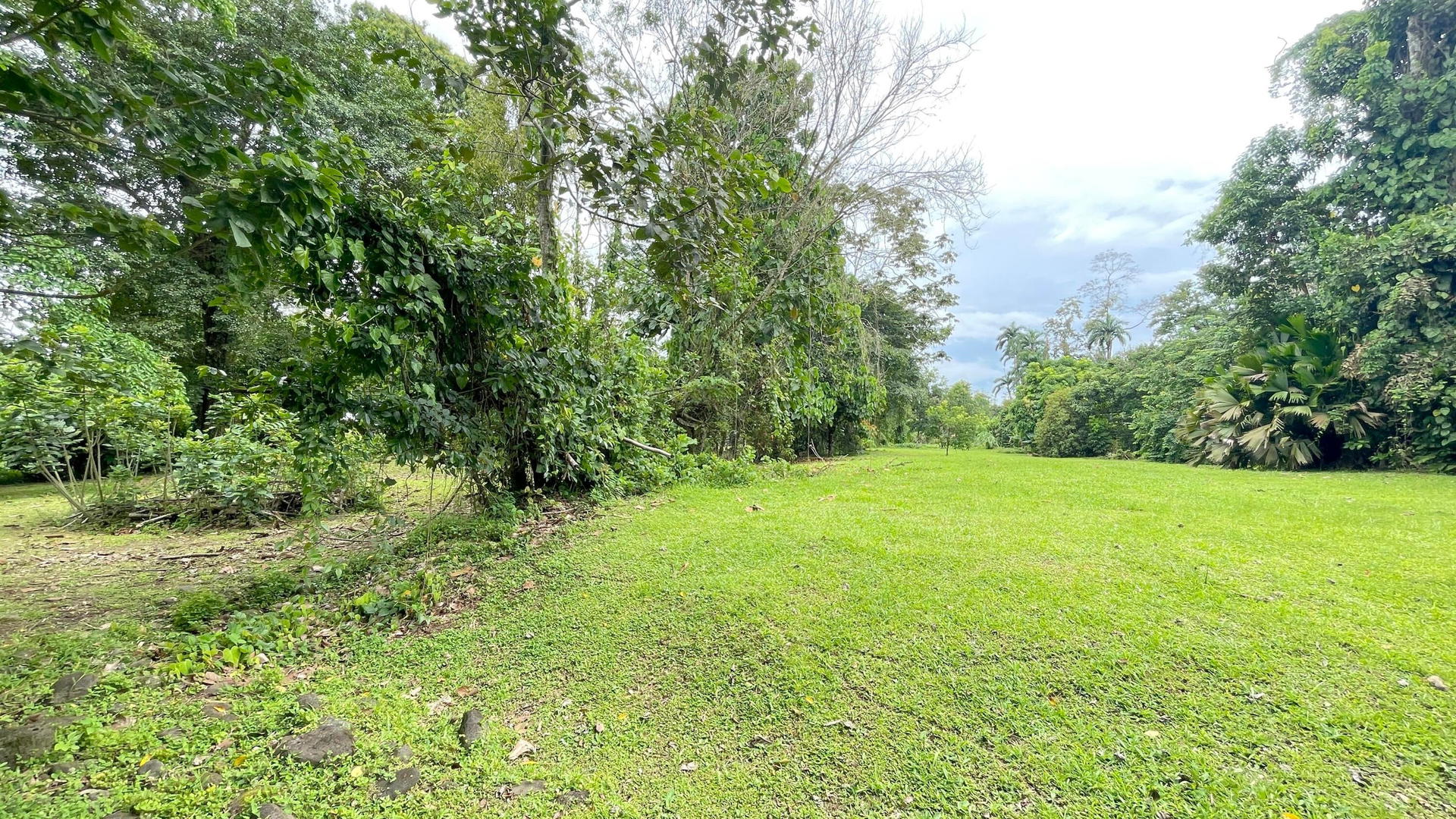 Property at Guápiles