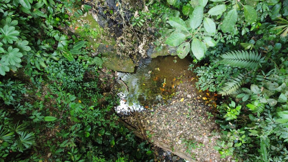 Property at Quepos