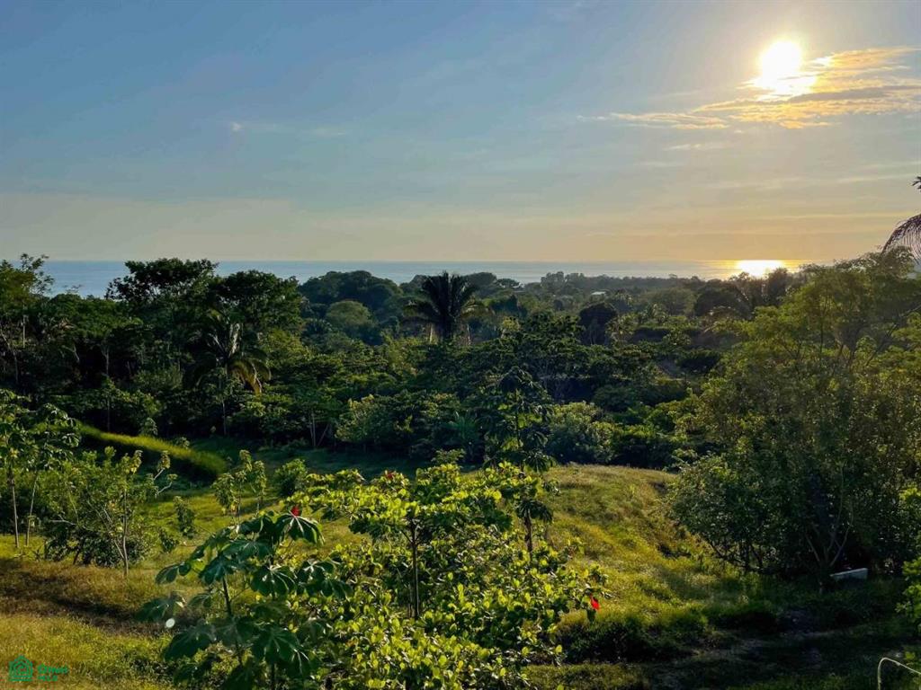 Land at Bahía Ballena