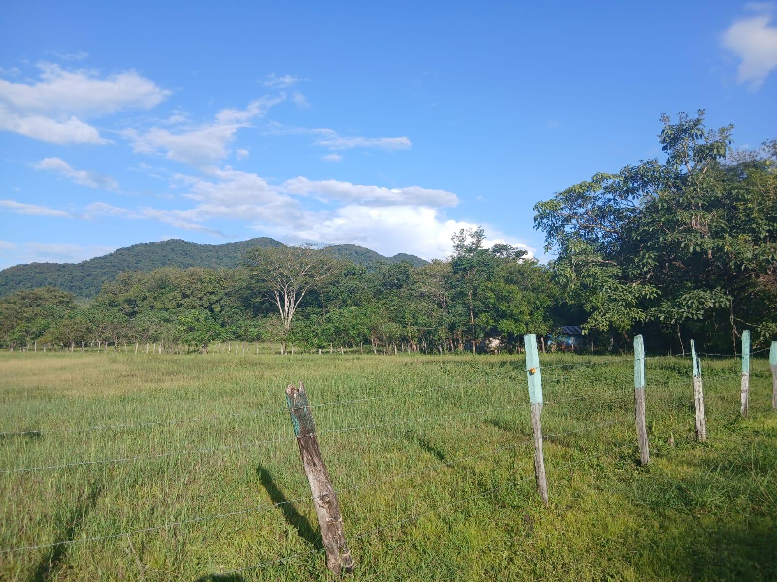 Propiedad en Nicoya