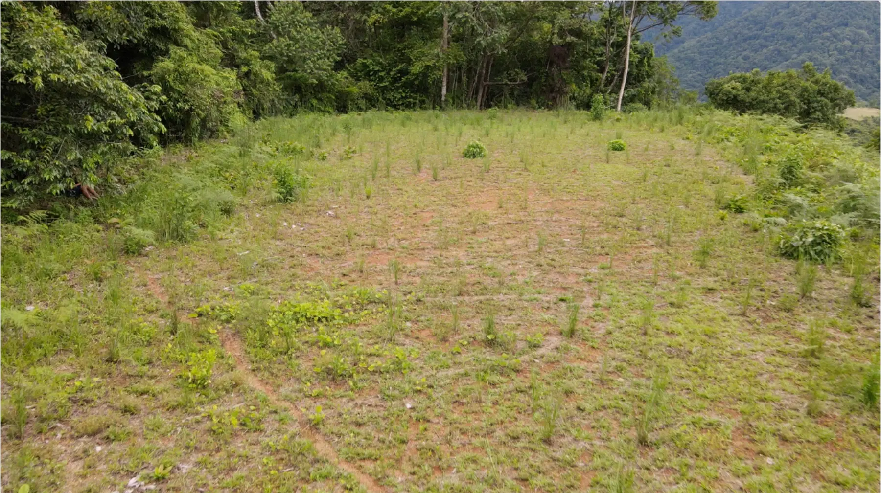 Terreno en Puerto Cortés