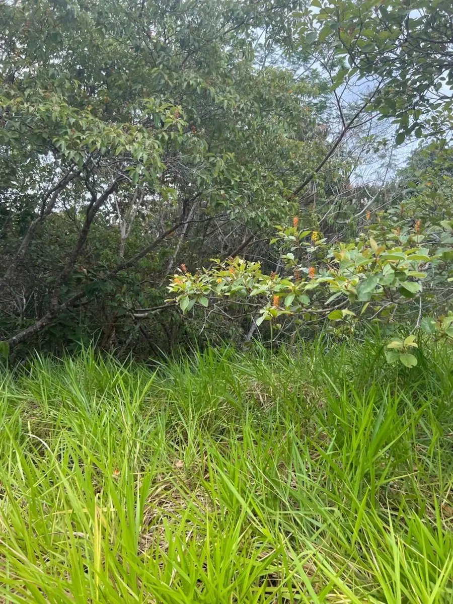 Terreno en Parrita
