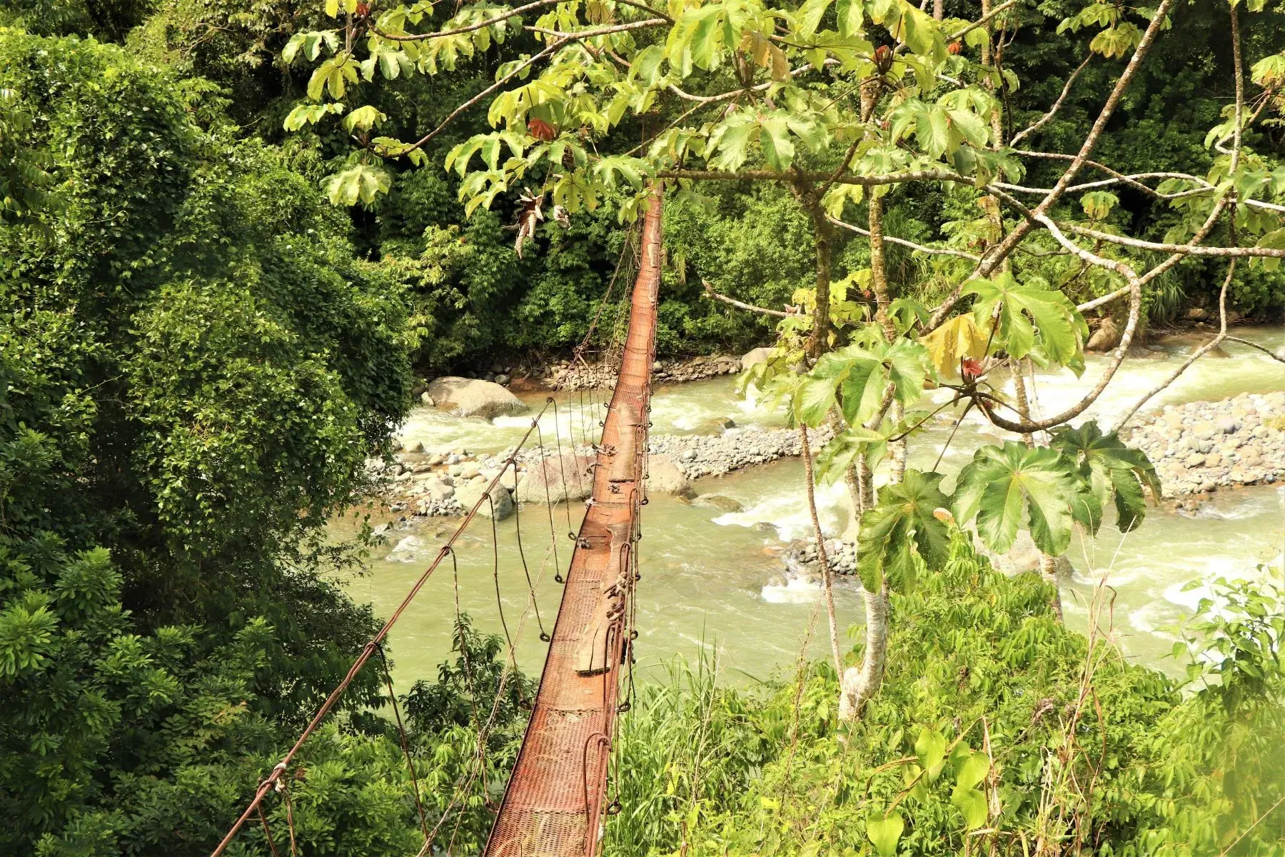 Terreno en San Isidro del General