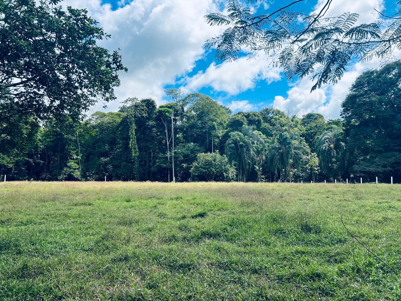 Property at Guácimo