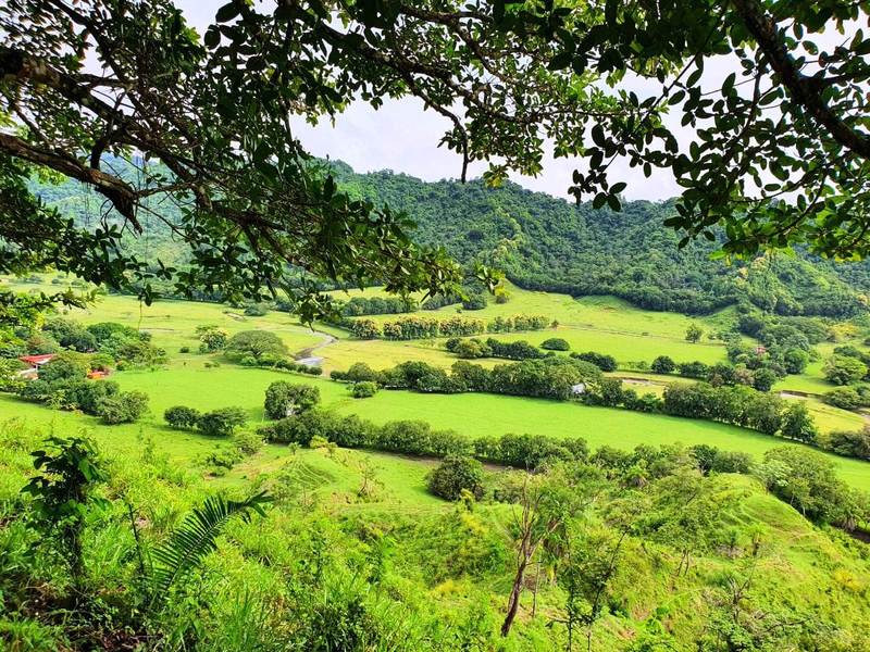 Terreno en Paquera