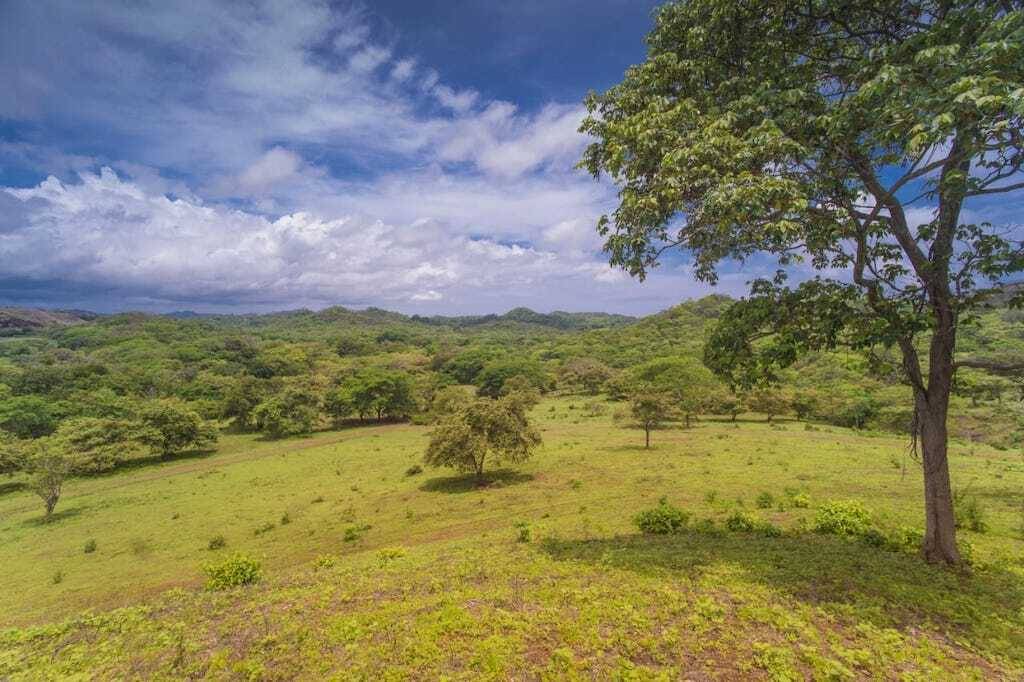 Finca en Tamarindo