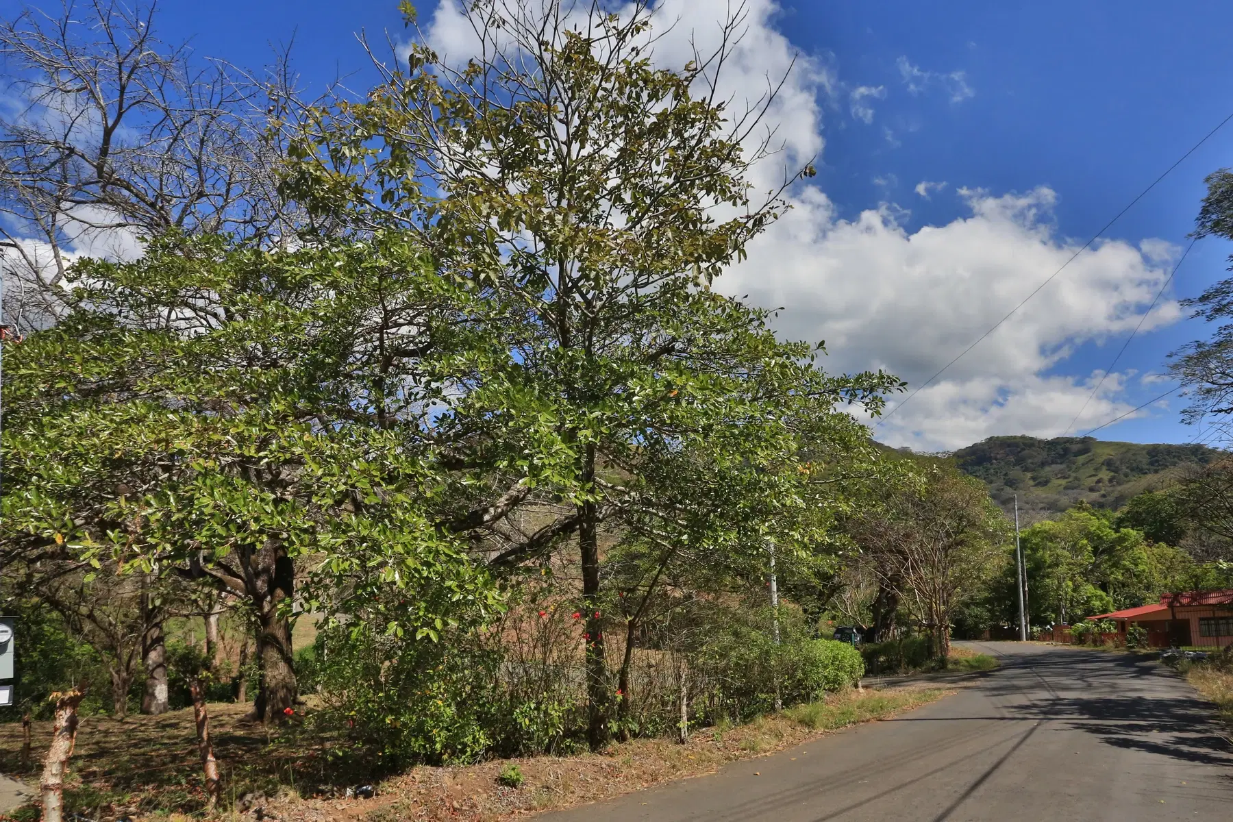 Terreno en Escobal