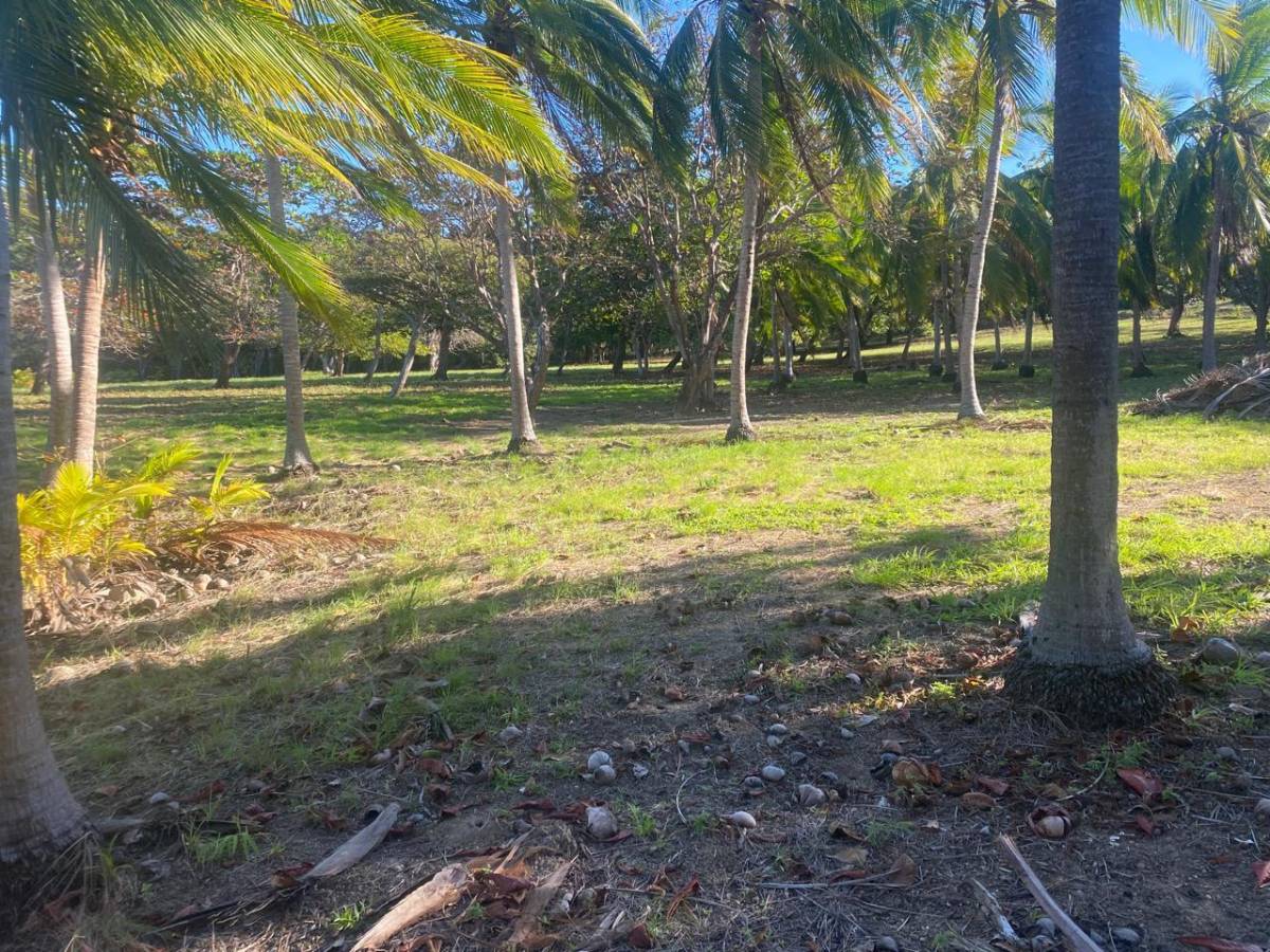 “Rare Beachfront Opportunity in La Cruz – Perfect for Eco-Resort or Boutique Hotel”