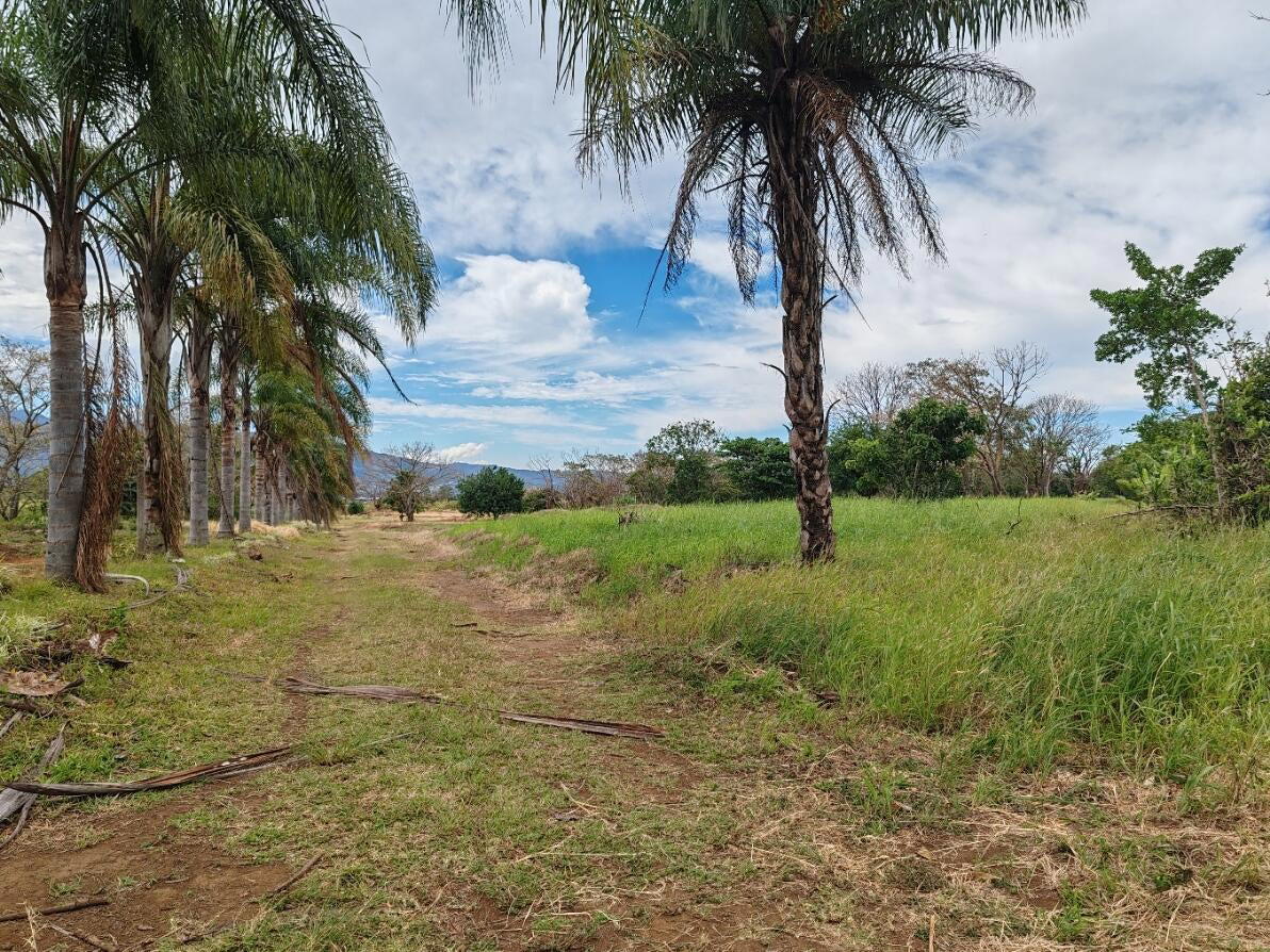 Propiedad en Desamparados