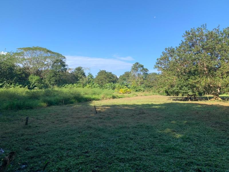 Terreno en Bahía Ballena