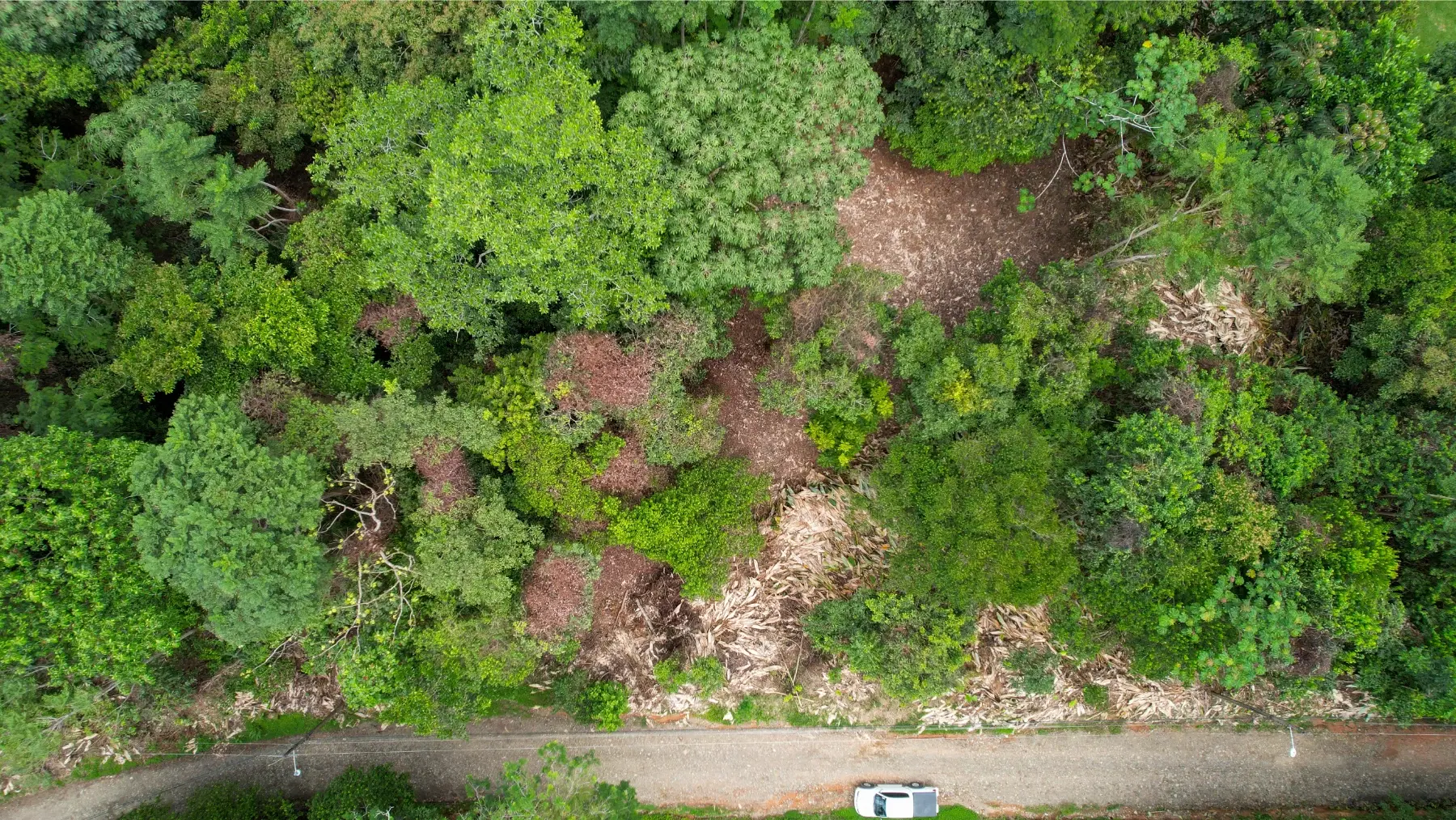 Terreno en Puerto Cortés