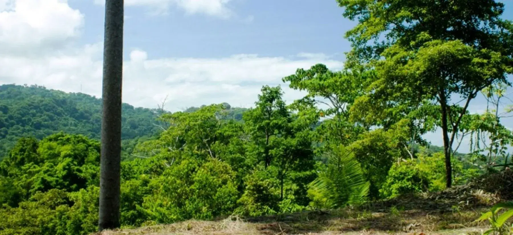 Terreno en Bahía Ballena