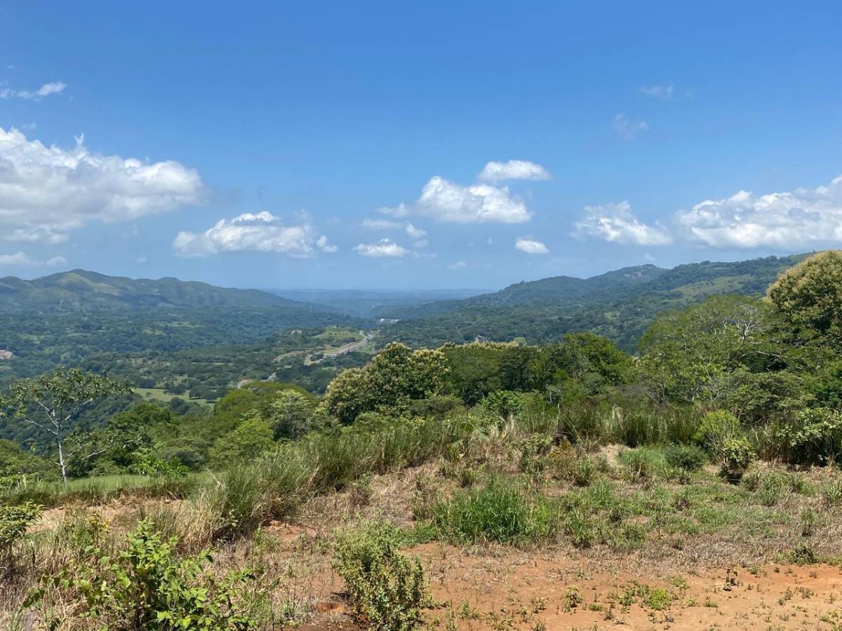 Property at Guácima