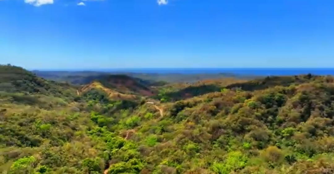Finca en La Cruz
