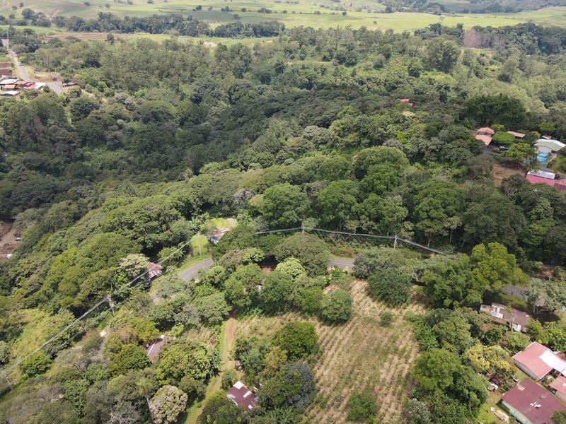 Land at Grecia