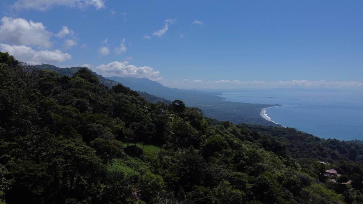 Finca en Dominical