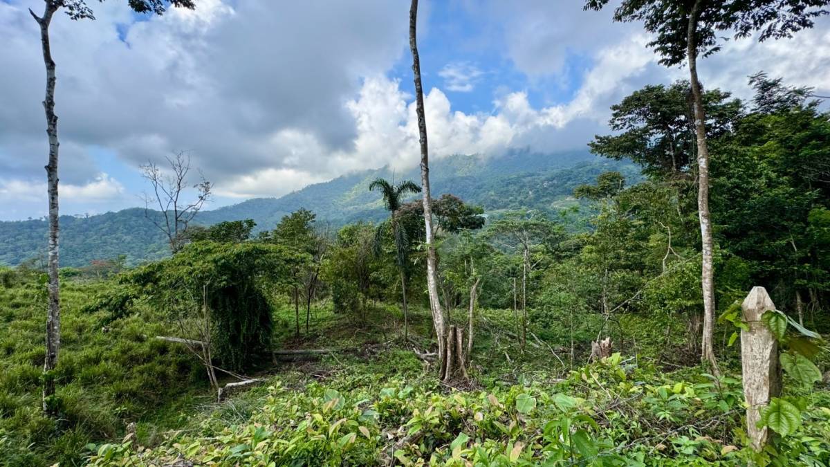 Property at Uvita