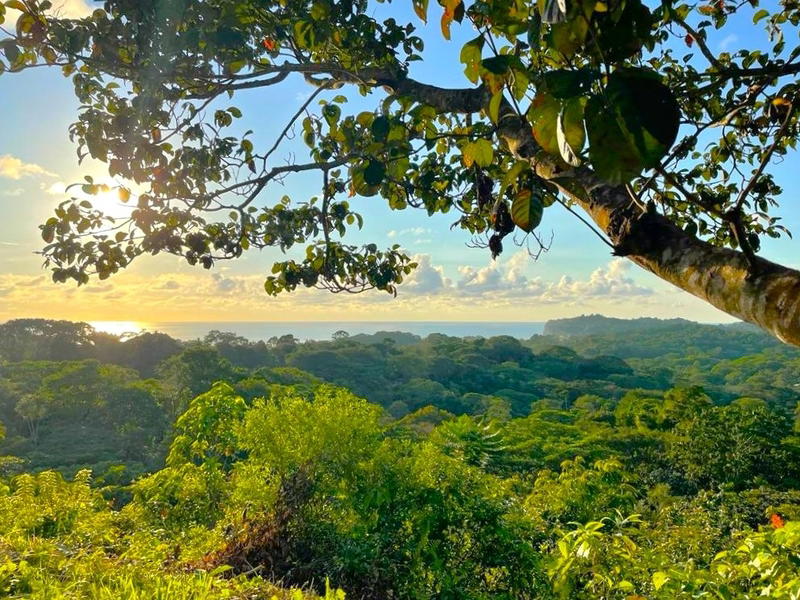 Land at Puerto Cortés