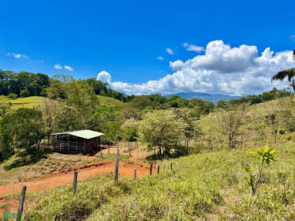 Property at Puntarenas