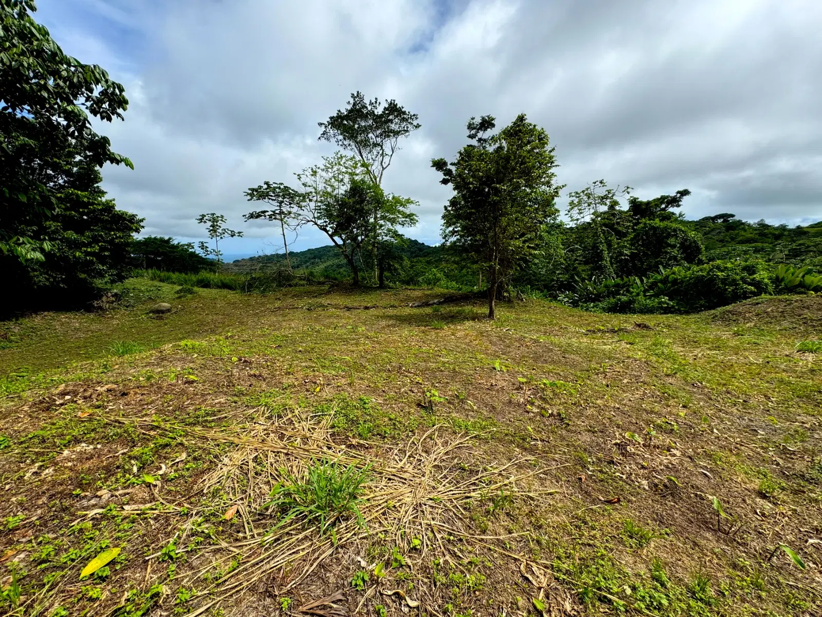 Terreno en Bahía Ballena