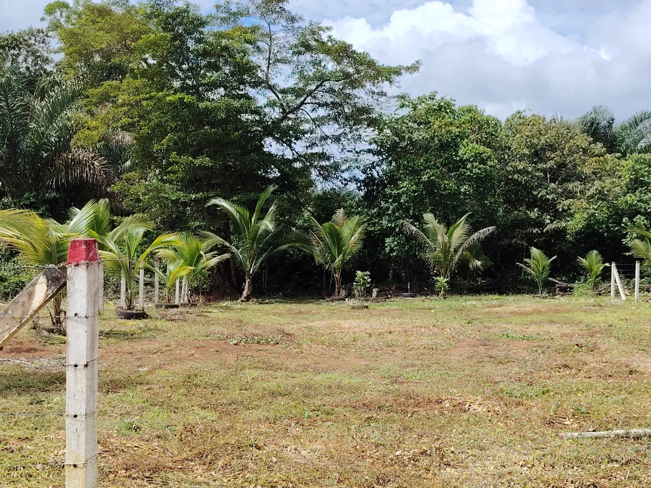 Land at Caño Negro