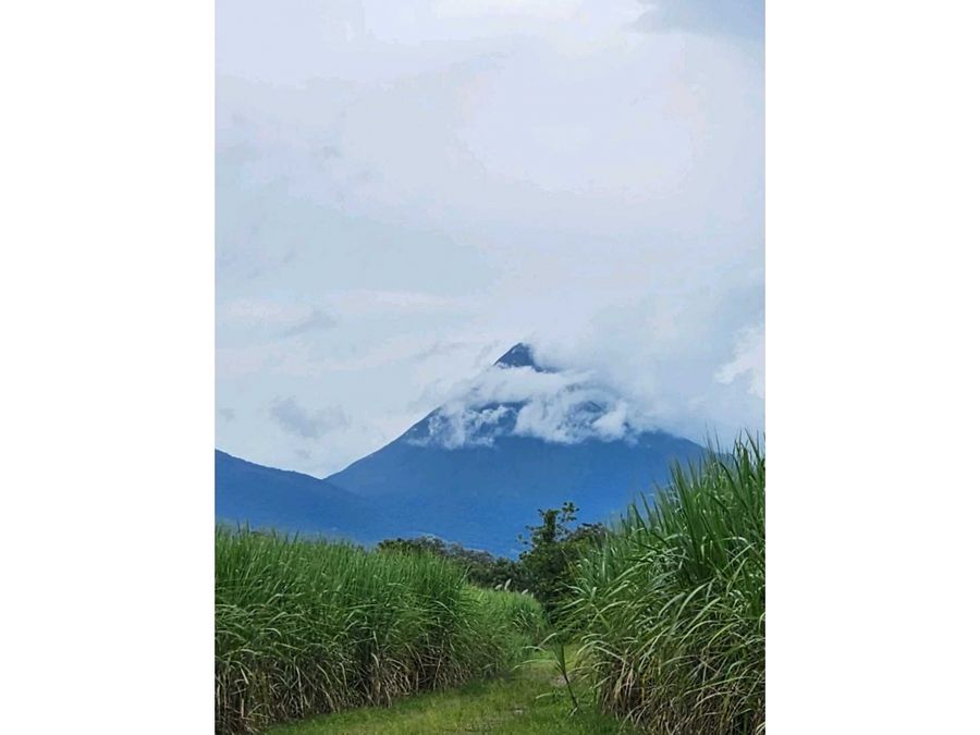 Property at Alajuela