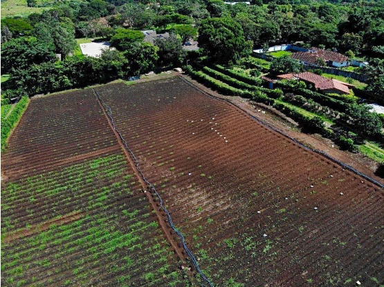 Property at Alajuela