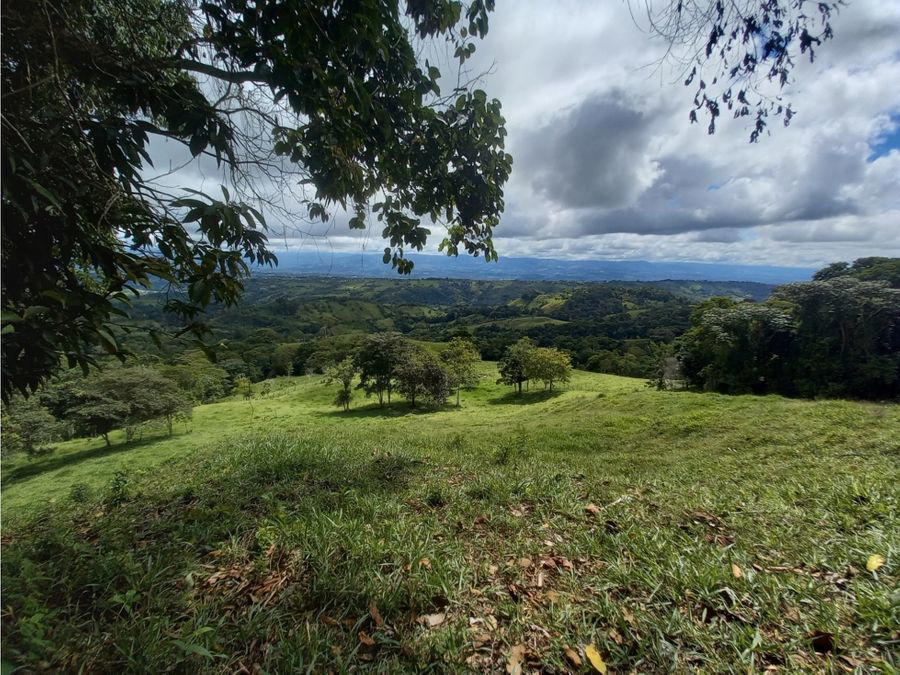 Finca en San Isidro del General