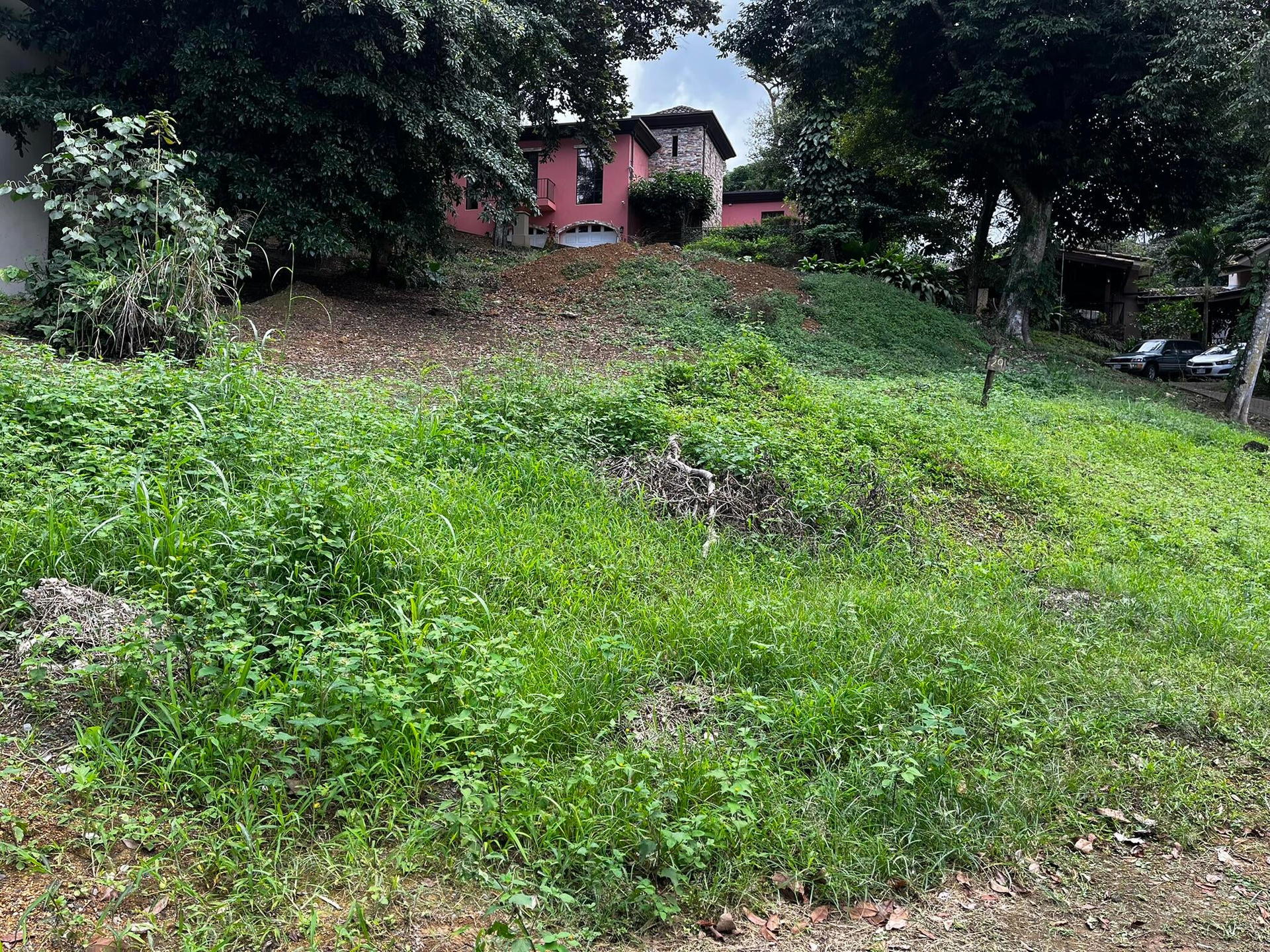 Property at Colón