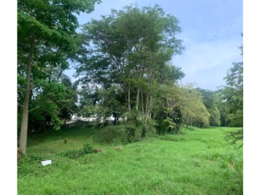 Land at Tárcoles