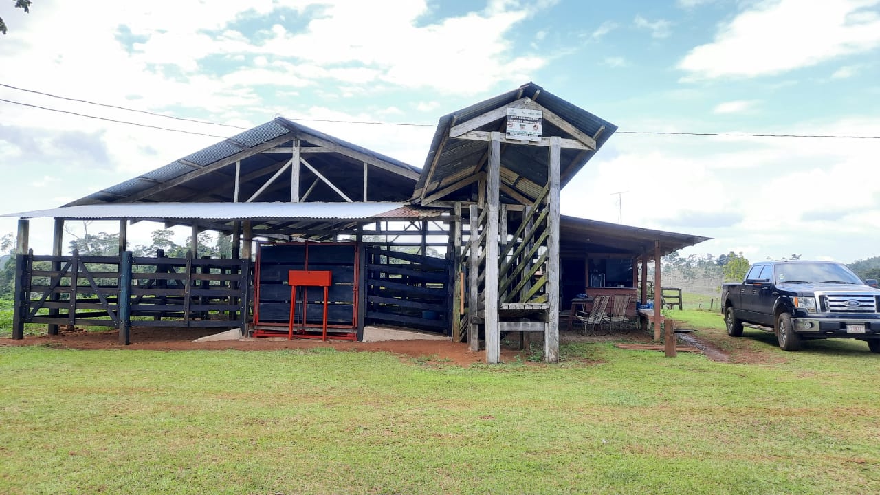 Estate at Cutris